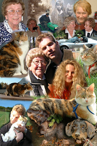 Collage mit Personen und Tieren