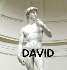 David original